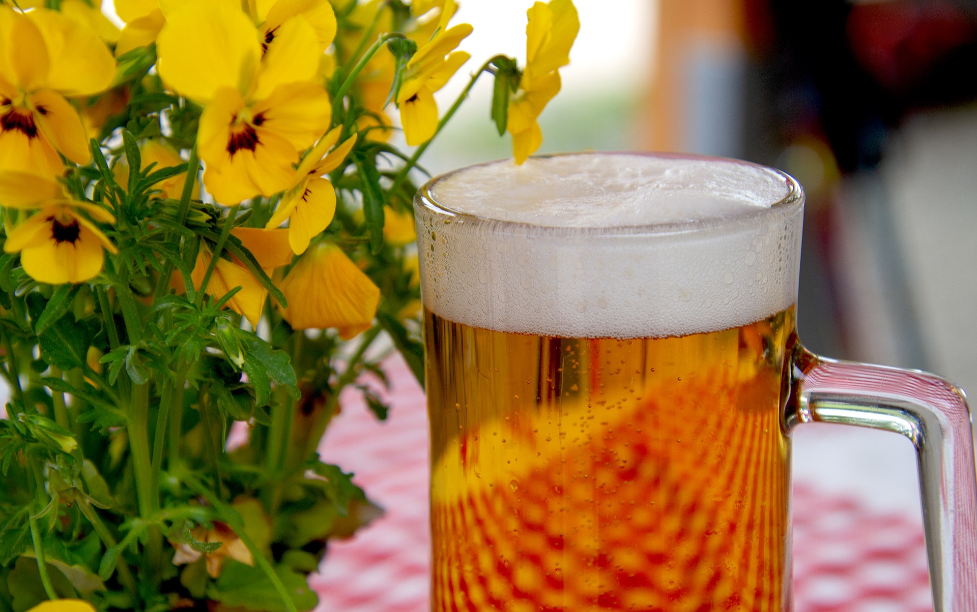 Zahradní posezení se sklenicí vychlazeného piva